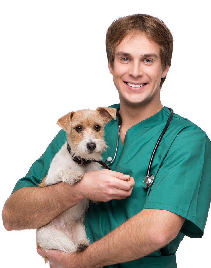 man-dog-steinbach-veterinary-hospital