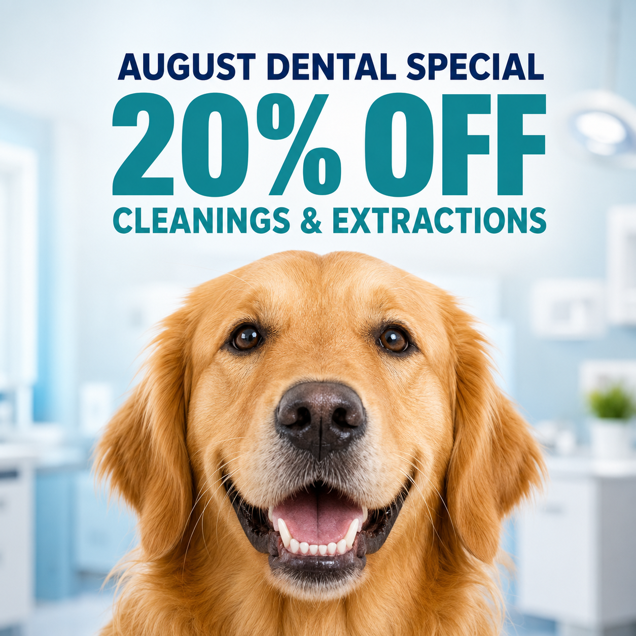 August	 Dental Special
